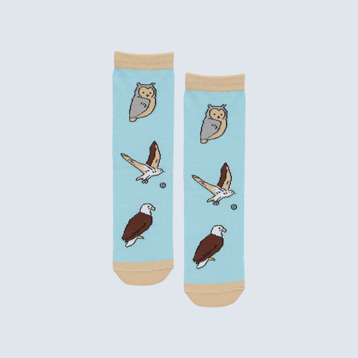 Birds of Prey Socks