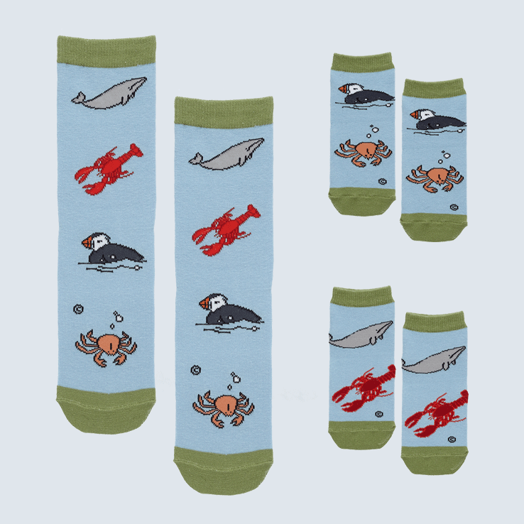 Maritime Socks