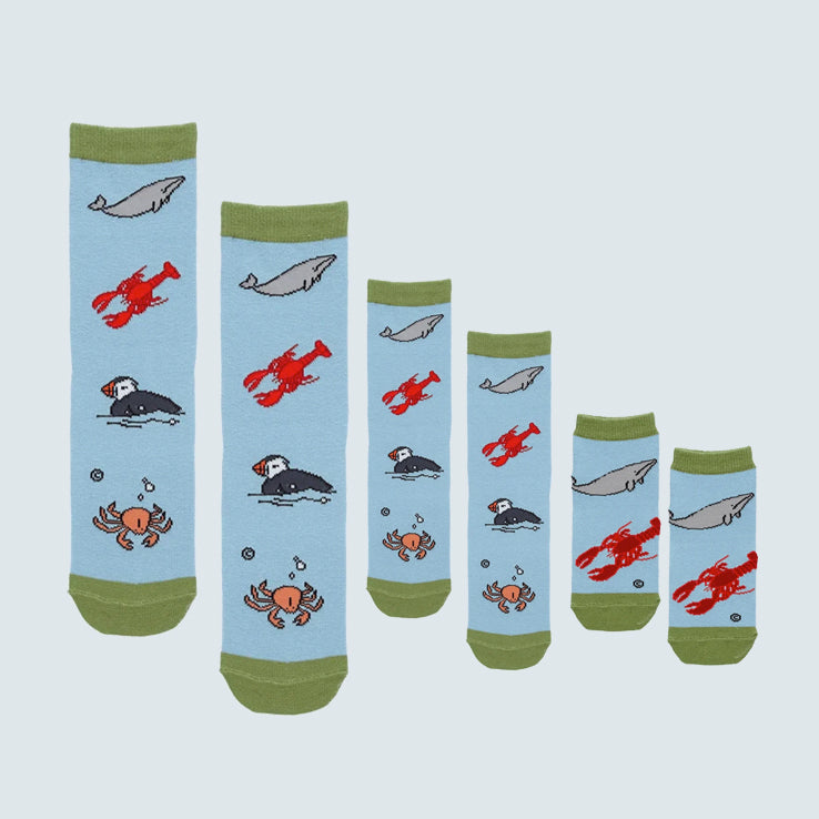 Maritime Family Set – Messy Moose Socks Canada